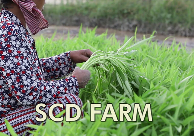 Video Production i Cambodia - Prosocial video for SCD Community Organization by Camerado Media